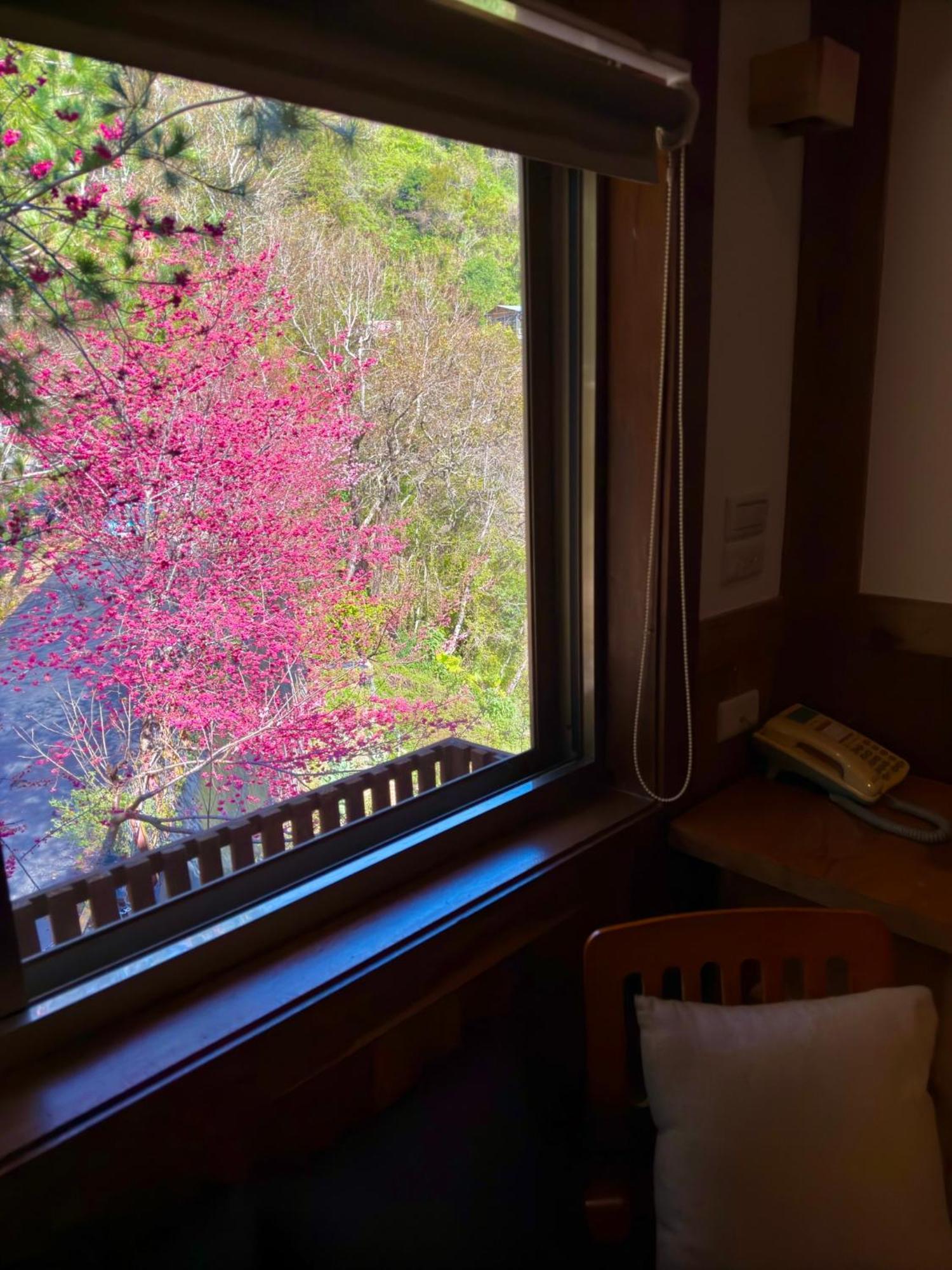 רן-איי Tian Hsiang Tea B&B חדר תמונה